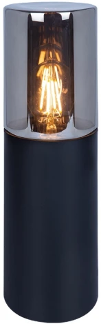 Наземный уличный светильник Arte Lamp Wazn A6218FN-1BK