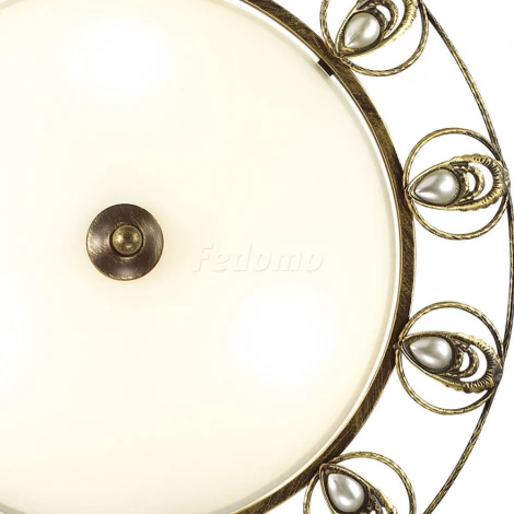 Настенно-потолочный светильник Odeon Light Kanti 3484/2C