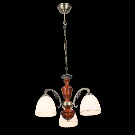 Подвесная люстра ST Luce Fiore 2 SL151.303.03