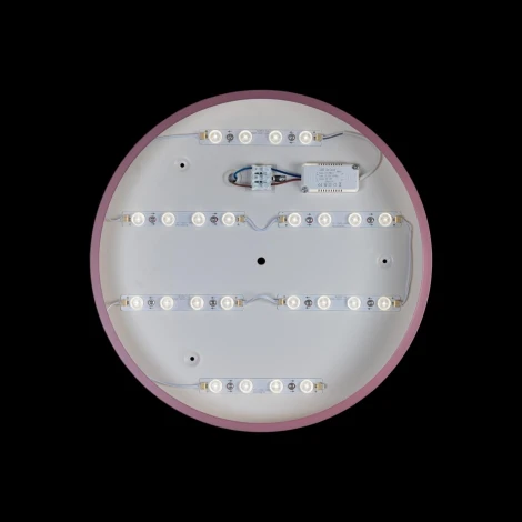 Потолочный светильник круглый Loft IT Axel 10003/24 Pink (LED, 220V, круглые)