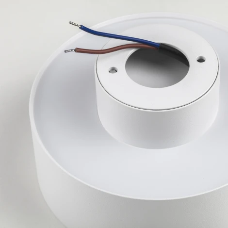 Накладной потолочный светильник Lightstar Acuto 215936 (LED, 220V, круглые)