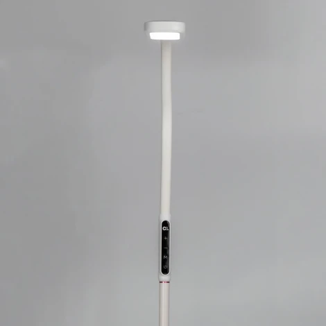 Торшер гибкий с таймером Citilux Марк CL804020 (LED, 220V, сенсорный выключатель)