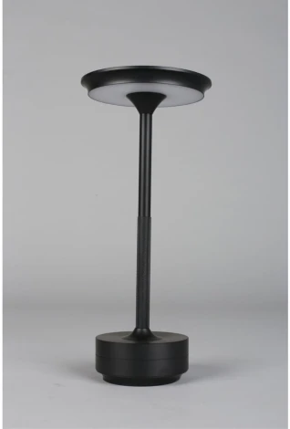 Настольная лампа светодиодная Aployt Markel APL.064.24.05 (220V)