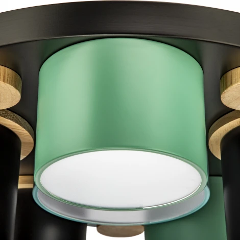 Потолочный светодиодный светильник с ДУ Ritter Scandia 52075 7