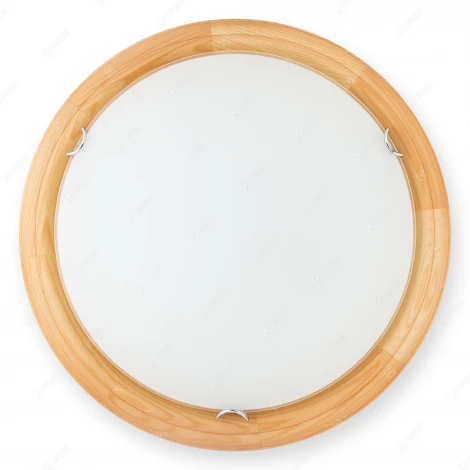 Настенно-потолочный светильник Toplight Wifa TL9144Y-02PN