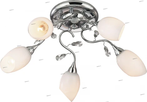 Потолочная люстра Odeon Light Fiera 1603/5