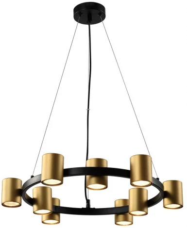 Подвесной светильник Rivoli Chloe 3153-309 (220V, на тросе, кольцо)