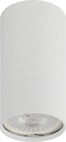 Точечный светильник ЭРА OL31 WH (220V)