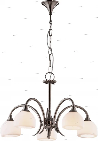 Подвесная люстра Odeon Light Adriana 1602/5