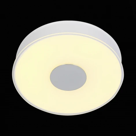 Потолочный светильник ST Luce Semplicita SL473.052.01