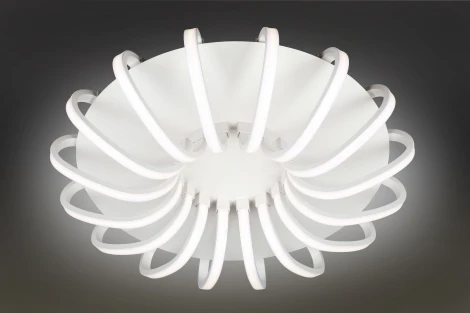 Потолочная люстра Omnilux Furtei OML-48107-112