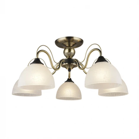 Потолочная люстра Wedo Light Atli 66635.01.37.05