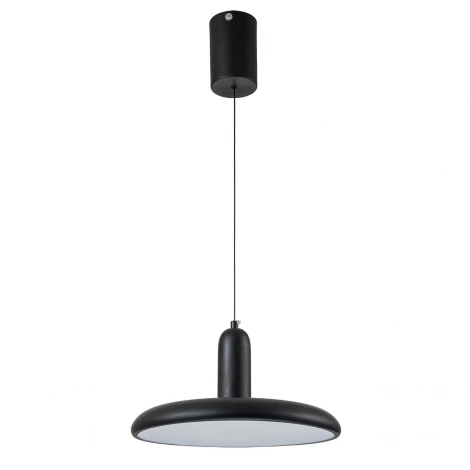 Подвесной светильник Escada 10230/1LED 18W Black
