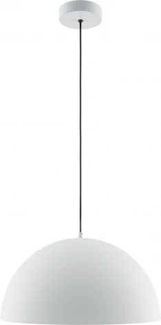 Подвесной светильник Maytoni Basic colors MOD168PL-01W (220V, на проводе)