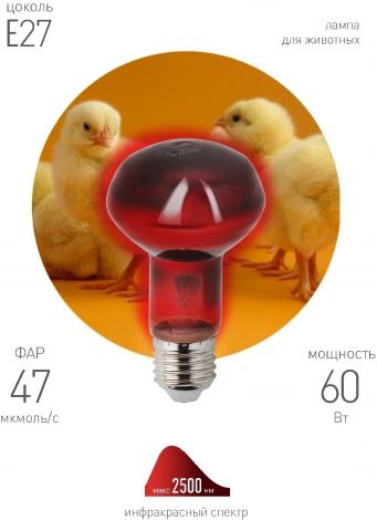 Инфракрасная лампа ЗРА ИКЗК 230-60 R63 Е27 для обогрева животных 60 Вт ЭРА