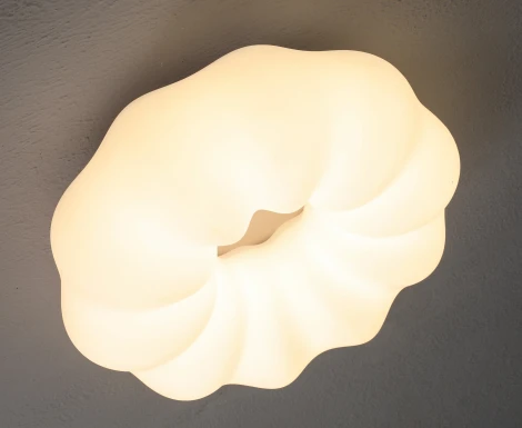 Потолочный светильник с пультом Zortes Soft ZRS.1118.3 (LED, 220V, цветы)