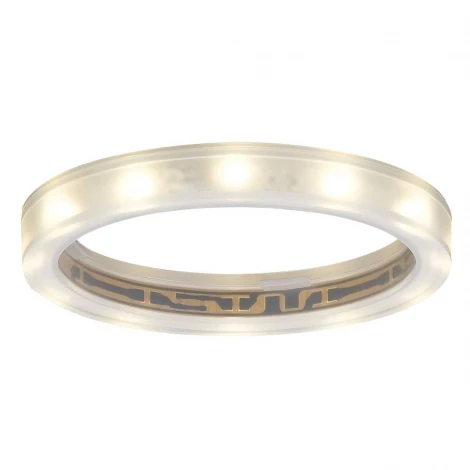 Встраиваемый точечный светильник Paulmann Star Line Ring 98863