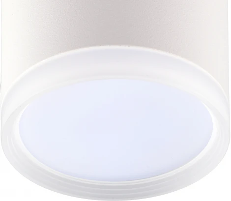 Накладной светильник Ritter Arton 59946 3