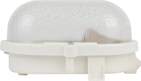 Настенно-потолочный светильник ЭРА НБП 01-60-012 (220V, IP53)