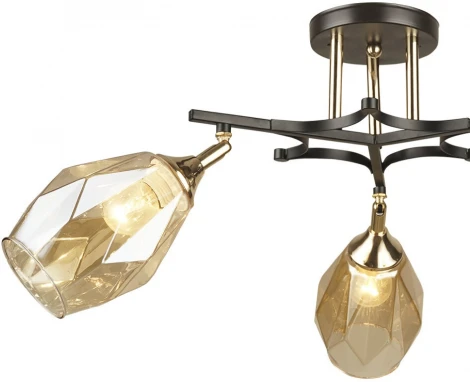 Потолочная люстра Wedo Light Deylna 66749.01.69.03