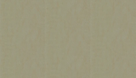 Обои виниловые Marburg Project 31834 10,05 x 0,53 м