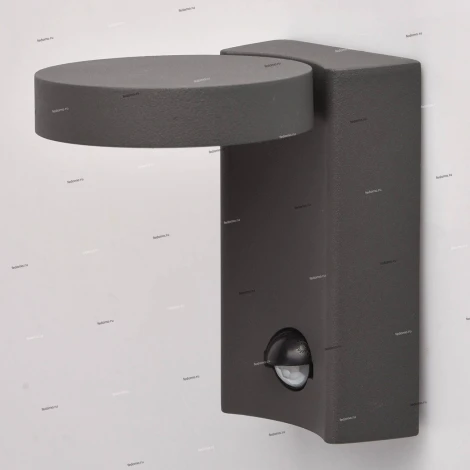 Настенный фонарь уличный DeMarkt Меркурий 807022001