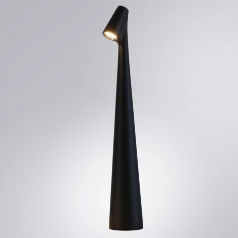 Настольная лампа Arte Lamp Fusion A3283LT-2BK (LED, 220V)