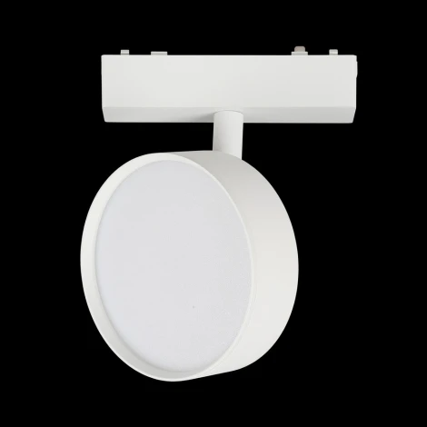 Светильник трековый магнитный 48V Aployt Magnetic track 48 APL.0118.10.09 (LED, круглые)