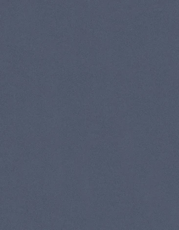 Обои виниловые Marburg New Spirit 32732 10,05 x 0,53 м