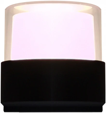 Настенный светильник Venera H844-0