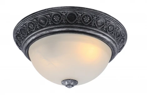 Потолочный светильник Arte Lamp Piatti A8009PL-2SB