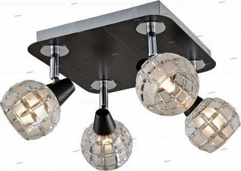 Потолочный светильник Lussole Silandro LSL-8601-04