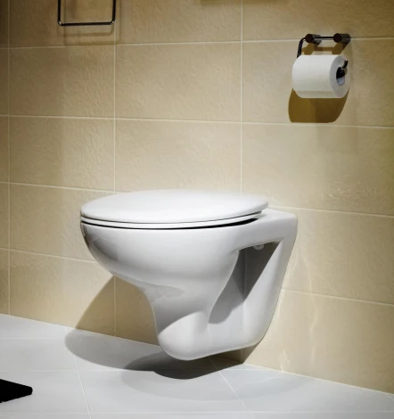 Комплект Roca Mateo 893100010 подвесной унитаз + инсталляция + кнопка