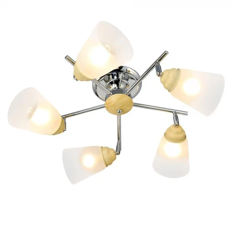 Максисвет 1-8822-5-CR+WE E14