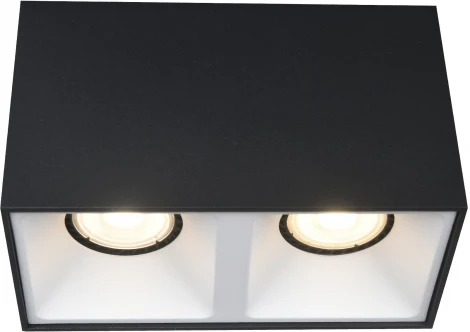 Светильник потолочный ST Luce ST168.452.02 Черный GU10 2*50W 220V