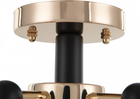 Потолочная люстра на штанге Arte Milano Napoli 324119/5 FG+BK (220V)