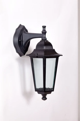 Настенный фонарь уличный Oasis Light 79802S Bl (220V, IP44)