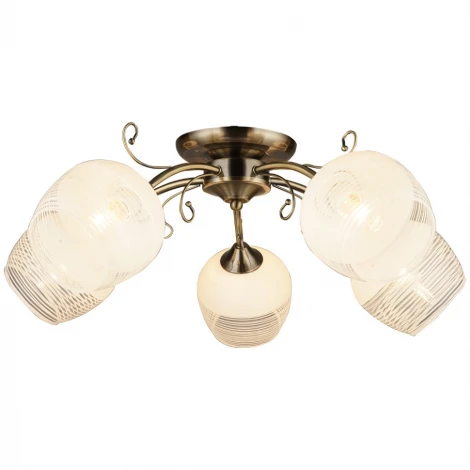 Потолочная люстра Wedo Light Brunek 66271.01.05.05