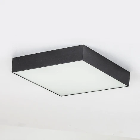 Накладной точечный светильник Citilux Тао CL712X242N (регулировка яркости, LED, 220V)