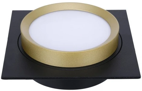 Точечный накладной светильник Lucia Tucci Fumi LTP-C002-01GX53-BG