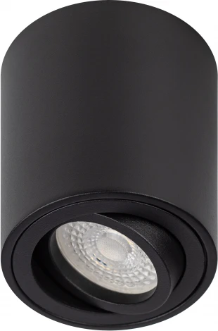 Точечный светильник ЭРА OL21 BK (220V)