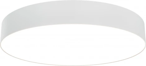 Поточный светильник круглый Maytoni Zon C032CL-45W3K-RD-W (LED, 220V, круглые)
