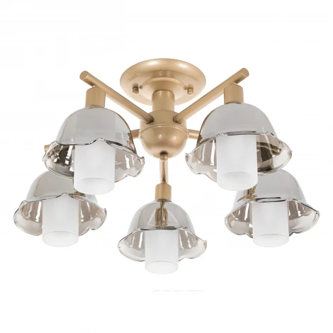 Потолочная люстра на штанге MyFar Lisa MR1481-5C (220V)