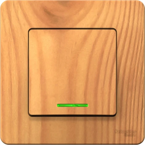 Выключатель встраиваемый одноклавишный с подсветкой (ясень) Systeme Electric Blanca BLNVS010115