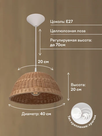 Подвесной светильник PS1N RG201-1P-400 BG 000030654