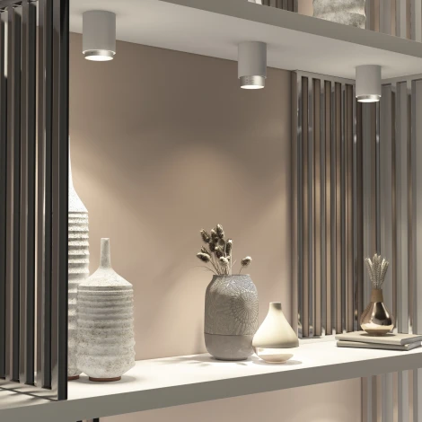 Накладной светильник 10W белый/серебро Elektrostandard Cors 25032/LED (220V, круглые)