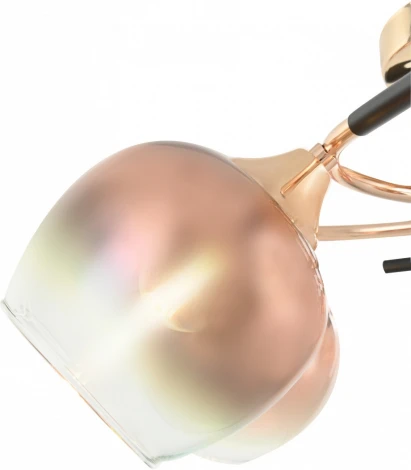 Потолочная люстра на штанге Arte Milano AMALFI-324985 324985/5 FG+BK (220V)