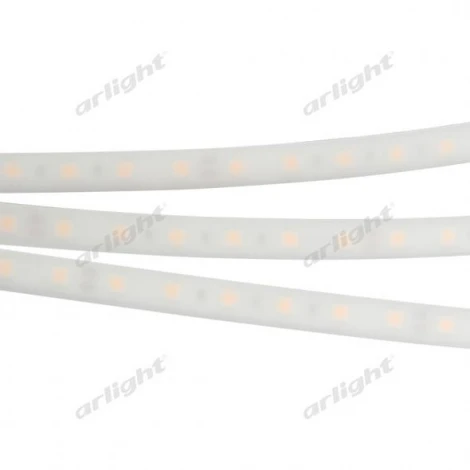 Светодиодная лента Arlight RTW 2-5000PW 016174