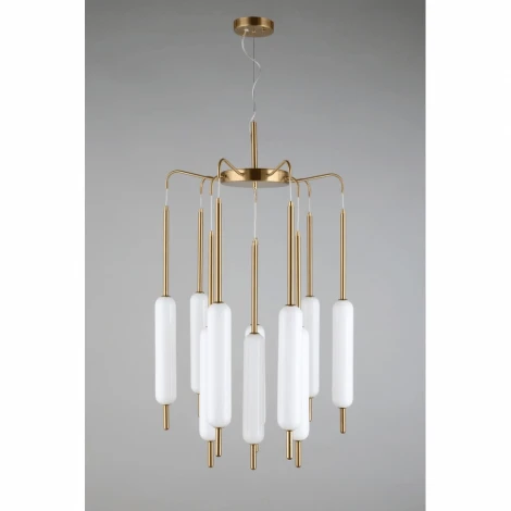 Подвесная люстра Aployt Carla APL.010.03.80 (LED, 220V, на тросе)