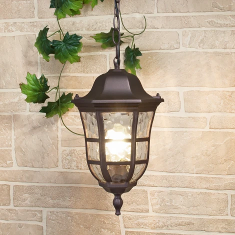 Уличный светильник подвесной Elektrostandard Dorado GL 1013H (220V, на цепи, круглые, IP44)